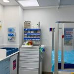 Woman indicted for allegedly poisoning five-year-old son in hospital with ‘dangerous substances’
