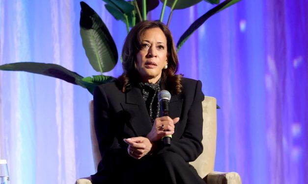 Harris courting Mamdani, pro-Palestinian activists in effort to win 2028 support – report
