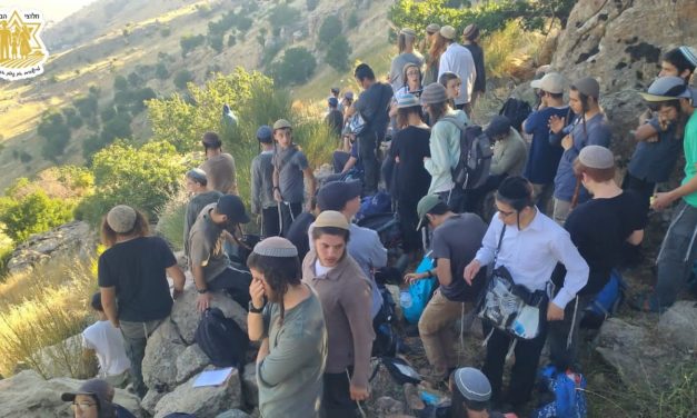 Around 100 Israeli settlers detained after attempting to cross into Syrian side of Mount Hermon