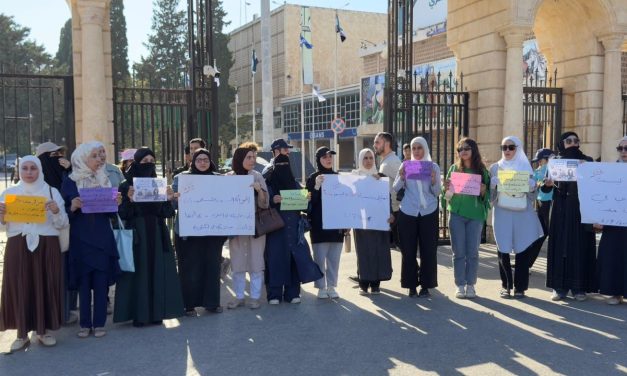 Syrian women push for real political power: ‘Representation is not just numbers’