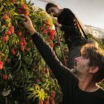 FoodTech returns to the Galilee after years of war