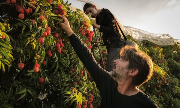 FoodTech returns to the Galilee after years of war