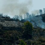 At least 12 killed as over 100 firefighters battle wildfires raging across southern Spain