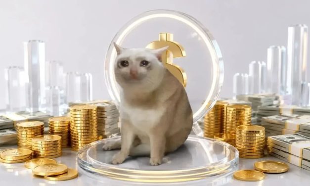 From $838 to a million in 20 days: The mysterious trader who struck the crypto world
