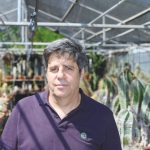 Climate change is stripping nutrients from food, global study with Israeli expert warns