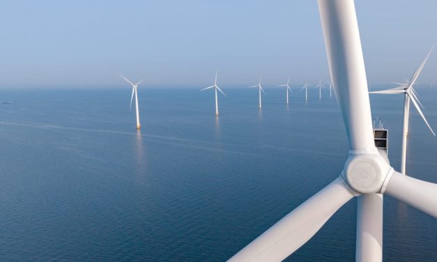 ‘Going blue’: Israel invests in marine-related renewable energies with Innovation Authority fund