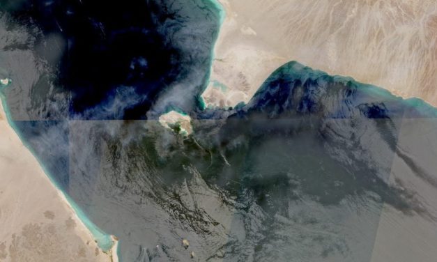 Yemen’s FM says Houthis using Bab al-Mandab to mirror Iran’s pressure in Strait of Hormuz