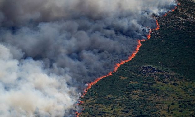 Spain declares national emergency as wildfires near Madrid, Avila force thousands to evacuate