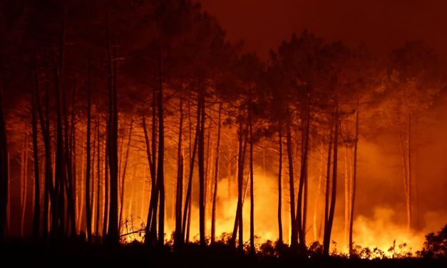 Climate change made ‘fire-prone’ weather conditions more likely in Spain and France, scientists say