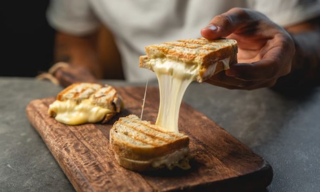Israeli plant-based protein co Plantopia raises $9m