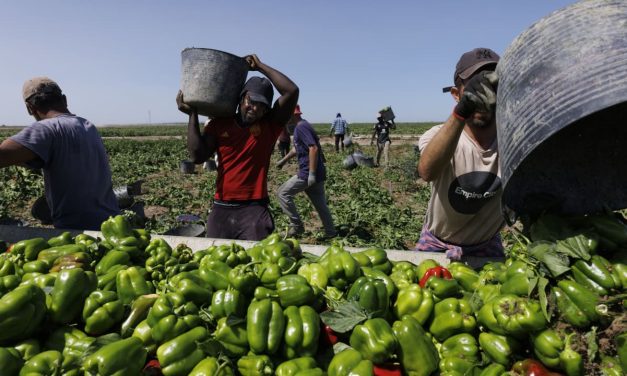 Israel bans import of goods made with forced labor to align with international trade standards