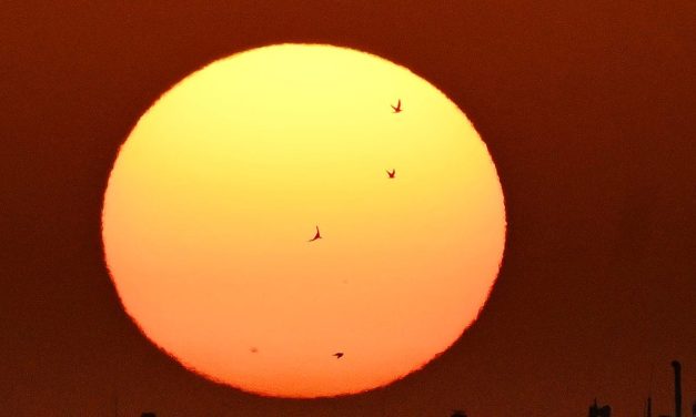 Record heatwave expected to hit Israel this weekend with potential 47°C in Sea of Galilee region