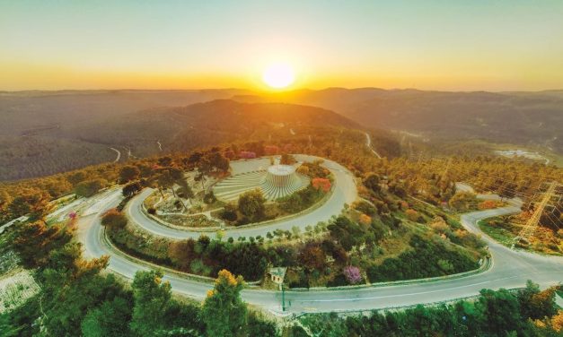 Jerusalem highlights: July 31-August 6
