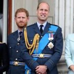 Prince Harry and Prince William’s bitter royal rift shows no signs of ending