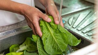 Thousands sickened by lettuce in US: what may be lurking in your salad bowl?