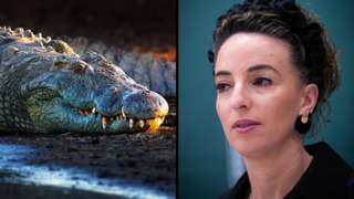 Minister clears path for Israeli ‘Alligator Alcatraz’ despite legal warnings