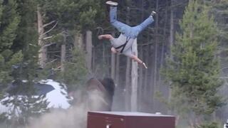 Bison chases grandfather in Yellowstone and tosses him into the air | Watch the dramatic video