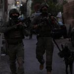 Dozens arrested in raids across Israel over illegal weapons and drugs