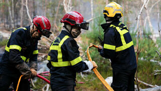 Firefighter admits starting Fontainebleau wildfire near Napoleon’s palace