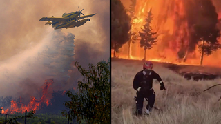 Europe in flames: 326,000 evacuated as wildfires rage near Bordeaux and Madrid