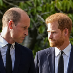 Prince William understands Charles’ reunion with Harry, but won’t rebuild the bond