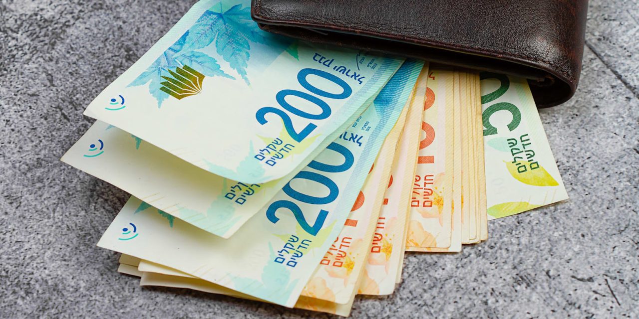 Institutional investors weakening shekel