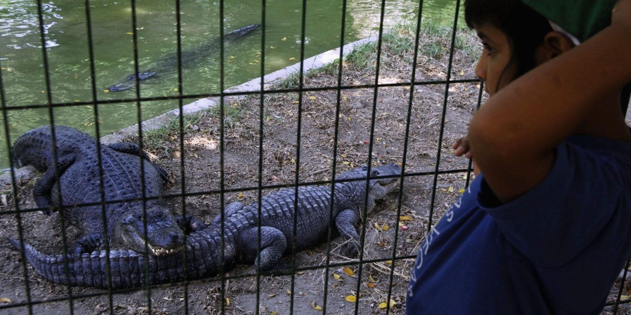 Israeli court delays Ben-Gvir’s plans for an Israeli ‘Crocodile Alcatraz’