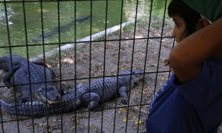 Israeli court delays Ben-Gvir’s plans for an Israeli ‘Crocodile Alcatraz’