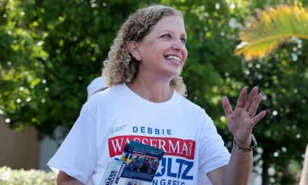 Debbie Wasserman Schultz wins primary in redrawn Florida district