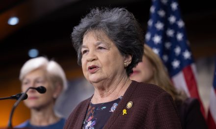 Lois Frankel, longstanding Jewish member of Congress, easily wins primary