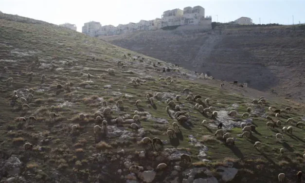 US responds to Israel’s E1 tender: ‘We do not support’ Judea and Samaria annexation