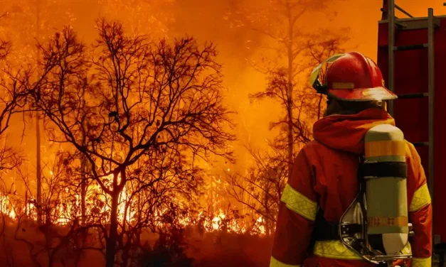 British Columbia declares state of emergency as wildfires spread