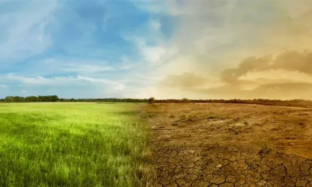 UN’s worrying forecast: Earth on track to break heat record again