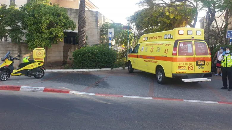 Six Thai workers injured by unexploded ordnance near Metula