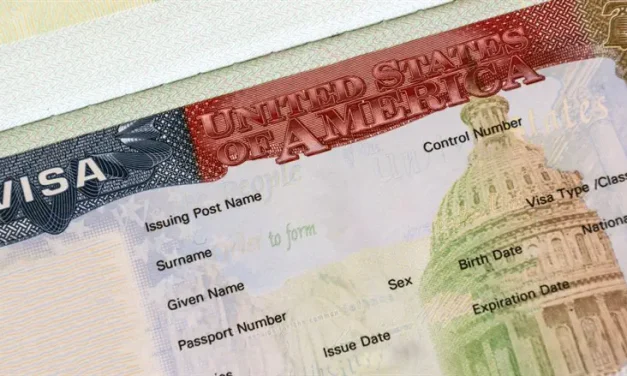 US halts all visa applications