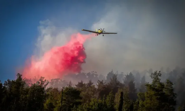 Massive brush fire races toward Gush Etzion farm