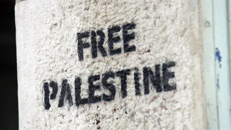 Dear World: Before you tell me to “Free Palestine”, I have some questions for you