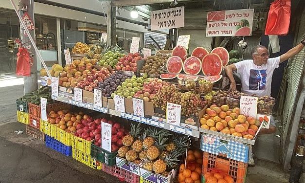 Joseph P. Rhinewine | Israel Needs a Left