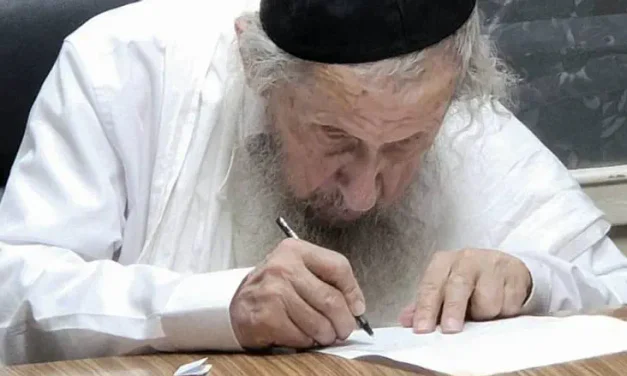 Rabbi Lando charges: All of us feel the persecution of Torah