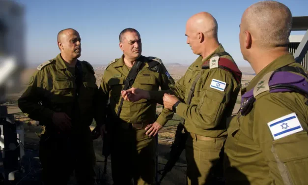Zamir tours Syria after Israeli strike
