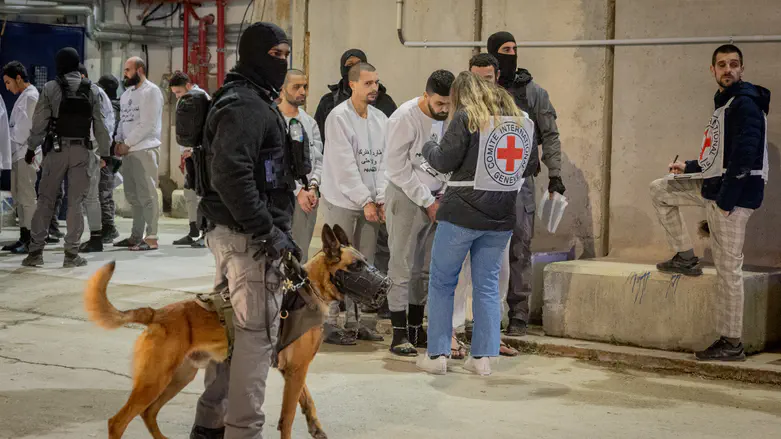 Haaretz against Ben Gvir: Red Cross visits have not resumed