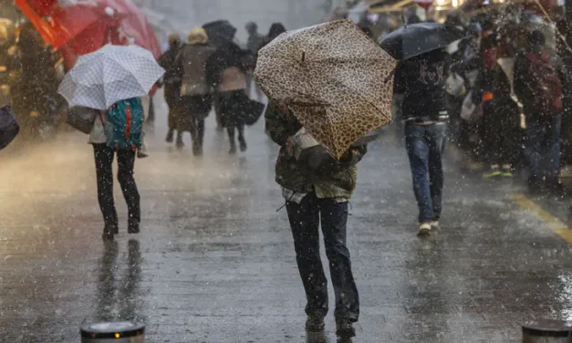 August goes wild: Thunderstorms, lightning and 70 km/h winds hit Israel