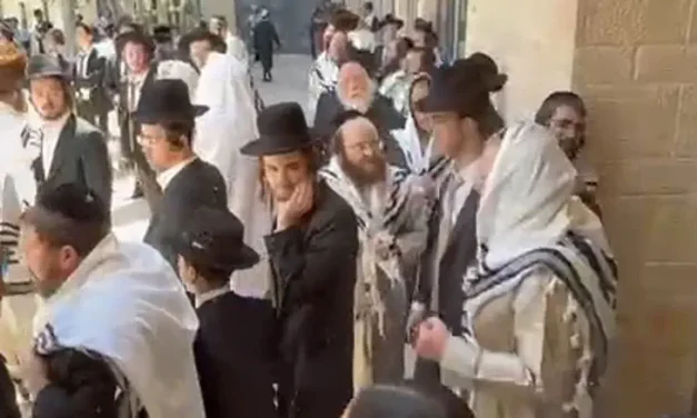 Watch: Sabbath café protest erupts as Liberman visits