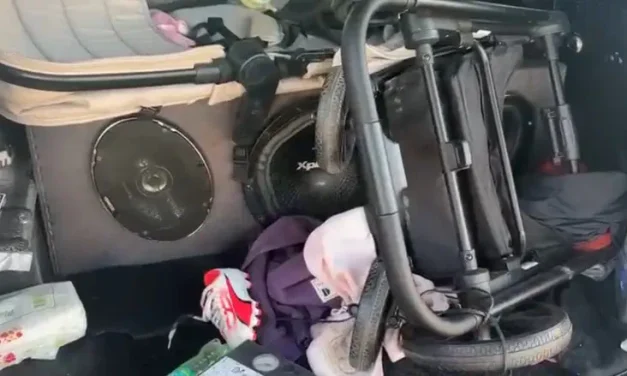 Caught inside a loudspeaker: Illegal resident found hiding in vehicle