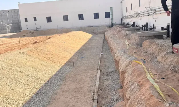A look into Israel’s planned crocodile moats