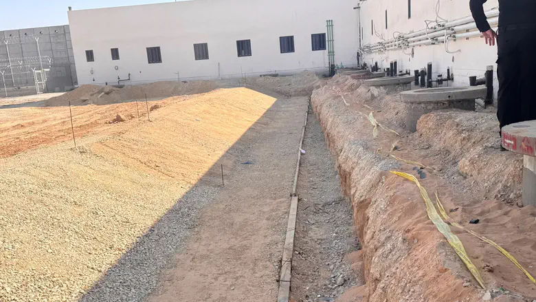 A look into Israel’s planned crocodile moats