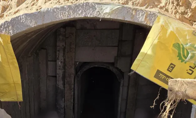 Watch: Oketz dog leads IDF to rocket-filled Hamas tunnel