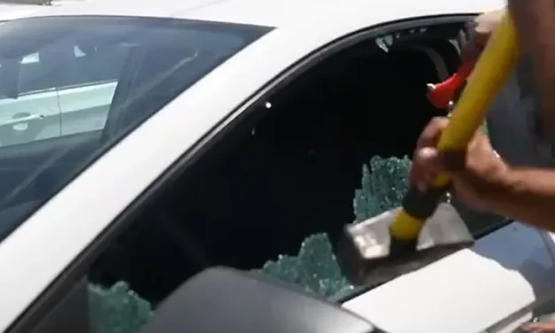 Police prevent disaster by rescuing toddler from locked car
