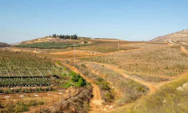 Exclusive: Jurisdiction of Givat Harel officially approved