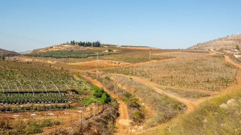 Exclusive: Jurisdiction of Givat Harel officially approved